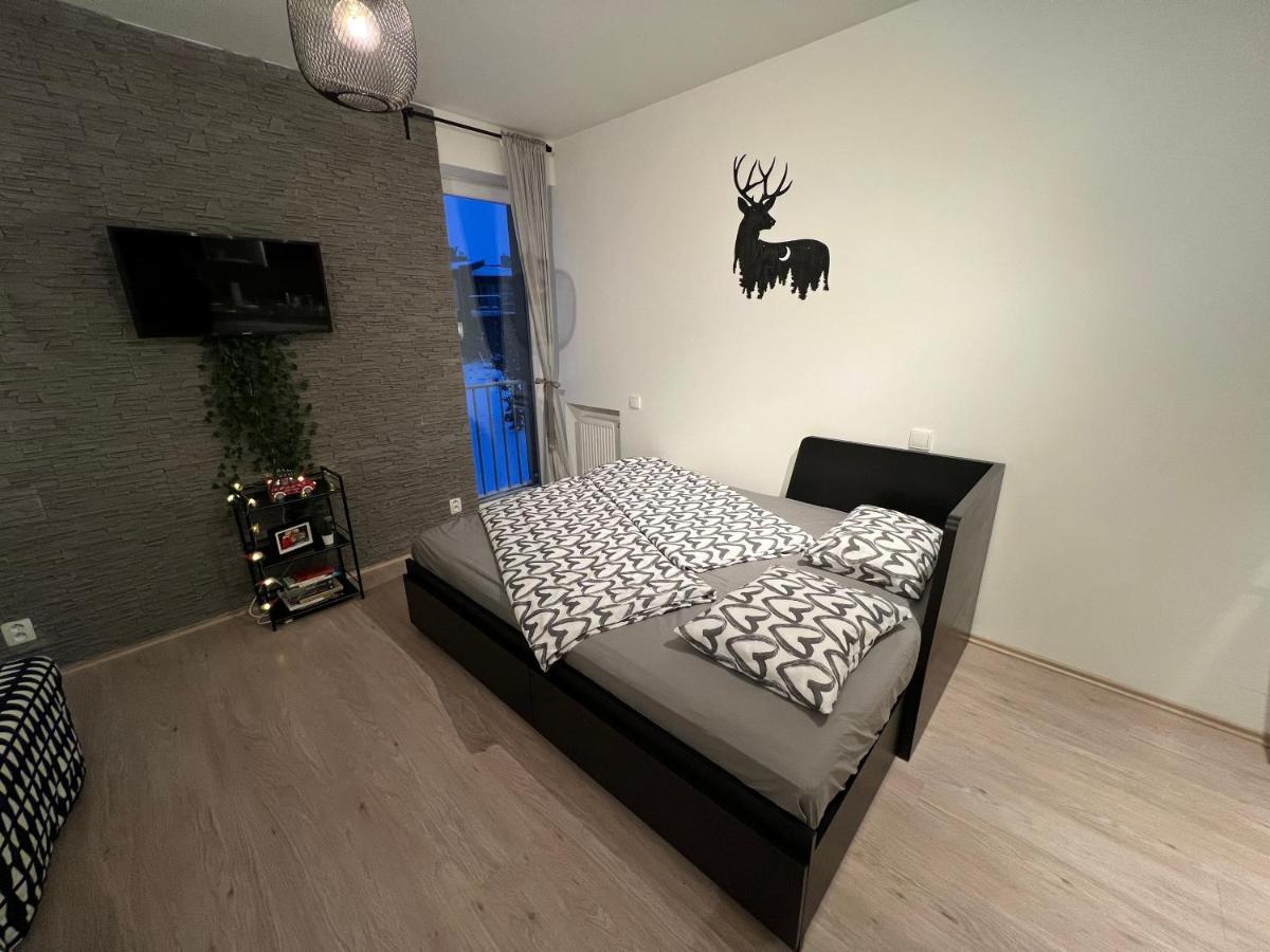 New Nelis Apartment Klinovec Loucna pod Klinovcem Luaran gambar