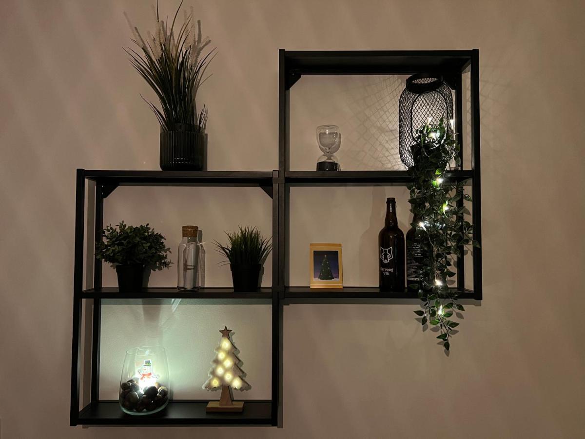 New Nelis Apartment Klinovec Loucna pod Klinovcem Luaran gambar
